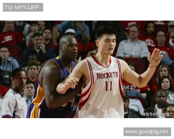 姚明2009年对阵热火的精彩表现与篮球生涯的辉煌回顾