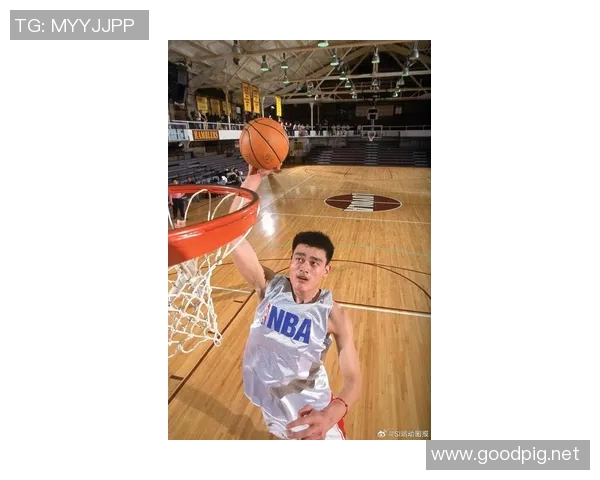 姚明的扣篮传奇:从少年梦想到NBA赛场的辉煌瞬间